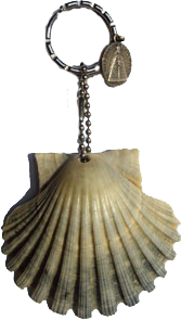 Muschel
